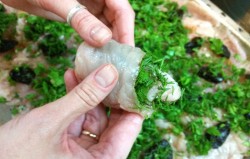 Рулеты из куриного филе с зеленью и черносливом