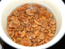 Рыжики жареные с картошкой