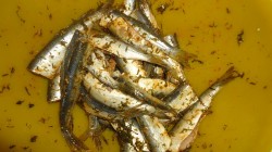 название картинки Салака запеченная в духовке