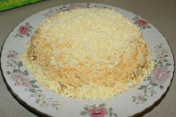 название картинки Салат Черепаха с курицей грецкими орехами и яблоками