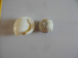 название картинки Салат Фиалка