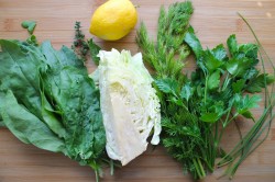 Салат из молодой капусты и щавеля - шаг 1 Салат из молодой капусты и щавеля - шаг 1
