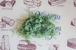 Салат из огурцов помидоров и авокадо