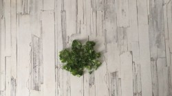 название картинки Салат крабовые палочки сыр чеснок