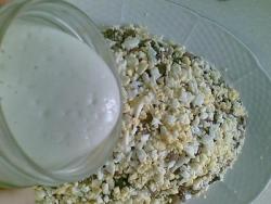 Салат Лисий хвост