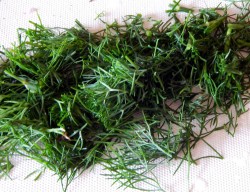 Салат нежный из огурцов на зиму