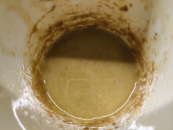 название картинки Классический салат Нисуаз с тунцом анчоусами и перепелиными яйцами