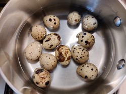 название картинки Классический салат Нисуаз с тунцом анчоусами и перепелиными яйцами