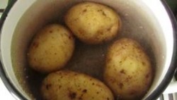 Салат из куриных потрошков с солеными огурцами