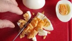 Салат из куриных потрошков с солеными огурцами