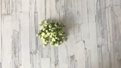 Салат с креветками и кукурузой