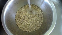 Салат с перловкой на зиму - шаг 1