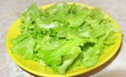 Салат с семгой луком пореем черри латуком