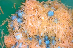 Салат с шампиньонами морковкой уксусом сахаром