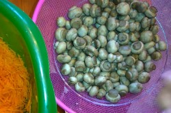 Салат с шампиньонами морковкой уксусом сахаром