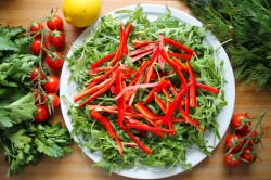 название картинки Салат с сыром моцарелла и помидорами черри