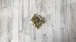 название картинки Салат с языком рецепты простые