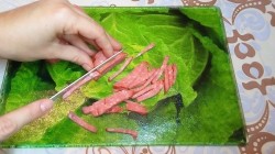 название картинки Сытный и яркий салат Соломка