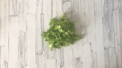 Салат тунец с авокадо