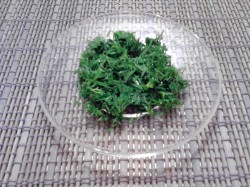 Салат Восторг с корейской морковью