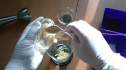 Салатная заправка на яблочном соке - шаг 1