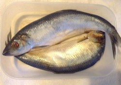 Селедка слабосоленая в домашних условиях