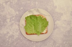 название картинки Сэндвич с ветчиной