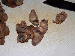 название картинки Куриные сердечки в сметане на сковороде