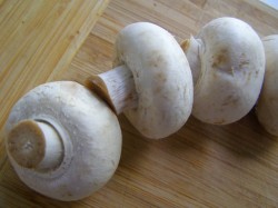 Шампиньоны на костре