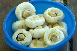 Шампиньоны на решетке на углях