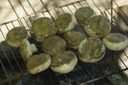 Шампиньоны на решетке на углях