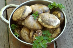 Шампиньоны на решетке на углях