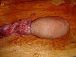 Шашлык из бараньих яиц сочный на мангале - шаг 1 Шашлык из бараньих яиц сочный на мангале - шаг 1