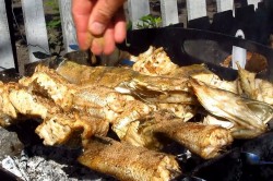 название картинки Шашлык из судака