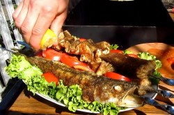 название картинки Шашлык из судака