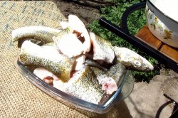 название картинки Шашлык из судака