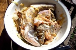 название картинки Шашлык из судака