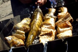 название картинки Шашлык из судака