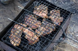 Шашлык на решётке