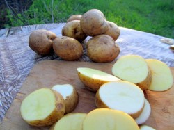 название картинки Шашлык с салом и картошкой