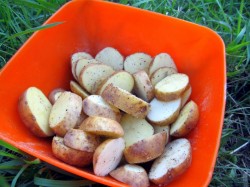 название картинки Шашлык с салом и картошкой