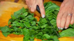 название картинки Щавелевый летний суп с фрикадельками и яйцом