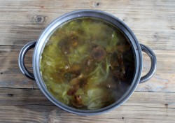 Щи с грибами и свежей капустой
