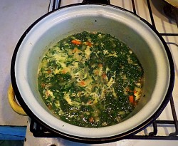Щи с зеленью шпината