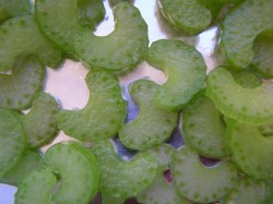 название картинки Щи суточные