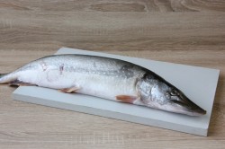 название картинки Вкусная щука на сковороде жареная