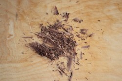 название картинки Торт Черный лес Шварцвальд (Шварцвальдский)