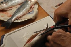 Сибас с луком и картошкой на противне