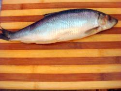 название картинки Салат закусочный с солеными огурцами