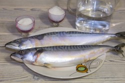 название картинки Слабосоленая скумбрия в домашних условиях